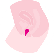 Load image into Gallery viewer, Lily Cup - Size B
